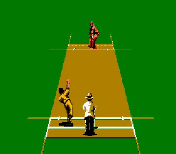 International Cricket (Australia) (Beta) (1992-08-24) screen shot game playing